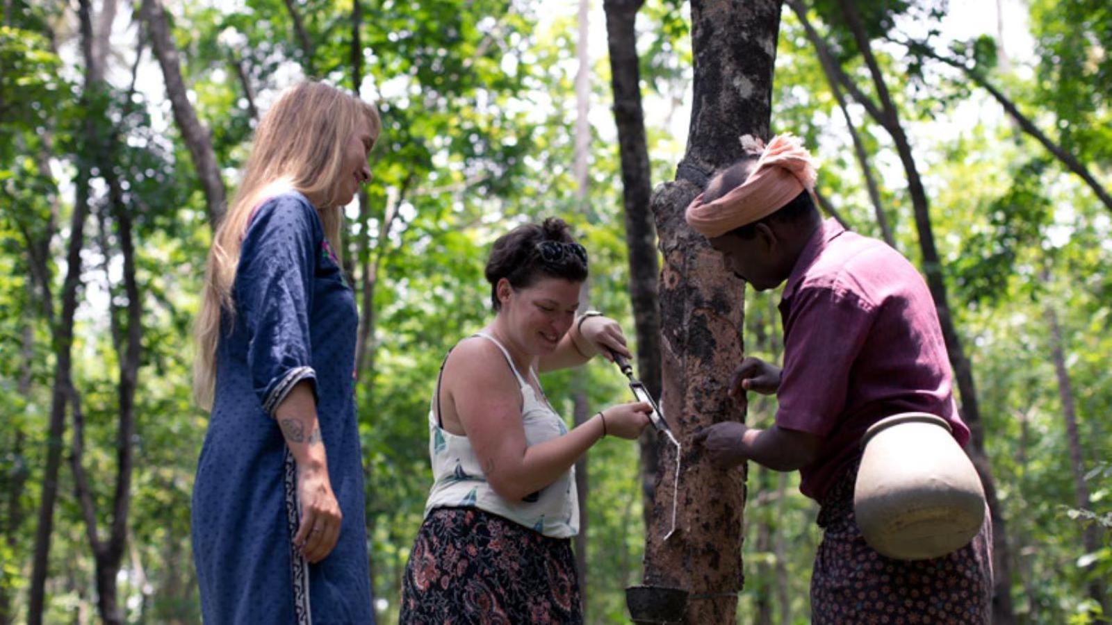 Sanjeevini Life Care Village - A Science Based Non - Invasive Holistic Wellness Destination Kochi Dış mekan fotoğraf